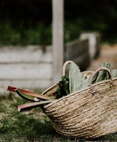 a basket filled with vegetables sitting on top of grass