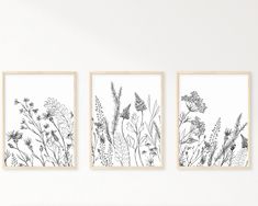 three black and white floral prints hanging on a wall