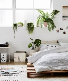 a bed with white sheets and pillows in a room filled with potted plants on the wall