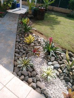 a garden with rocks and plants in it