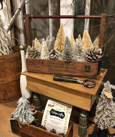 some pine cones are sitting on top of a wooden box with other items in it