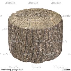 a tree stump is shown on a white background