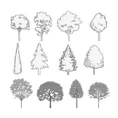 trees are shown in different shapes and sizes