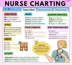 a poster with the words nurse chart in english and spanish, including an image of a woman