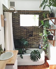 a bath tub sitting next to a bathroom sink under a window with plants on it