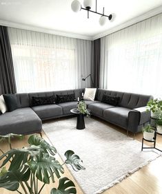 a living room filled with furniture and plants