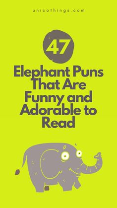 the elephant puns that are funny and adorable to read by unknown things