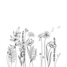 some flowers and plants are drawn in black ink