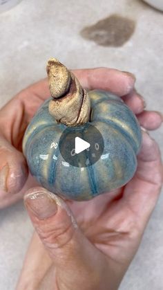 a person holding a small blue pumpkin with a snail on top