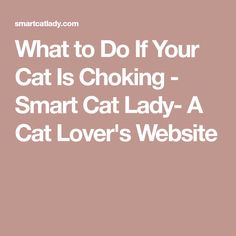 What to Do If Your Cat Is Choking - Smart Cat Lady- A Cat Lover's Website Kitten Tips, Heimlich Maneuver, Cardiopulmonary Resuscitation, Cat Cage, Cat Language, Somewhere Only We Know, Cats Diy Projects, Difficulty Breathing, Cat Cages