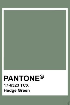 the pantone color is shown in green