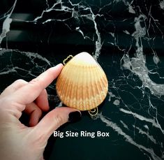 a hand holding a small seashell on top of a black marble counter with the words, big size ring box