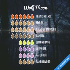 Witchy Oils, Moon Diffuser, Essential Oil Spray Recipes, Essential Oils Herbs