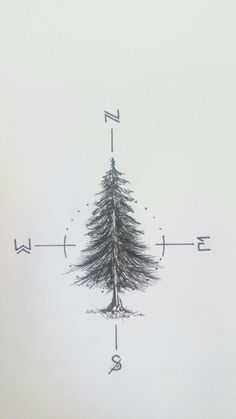 a drawing of a pine tree on a white background with an arrow pointing to the right