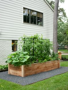 an outdoor garden area with raised wooden planters and plants growing in the ground next to a house