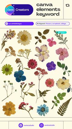 an image of flowers and leaves on the cover of a book, which reads canva elements keyword