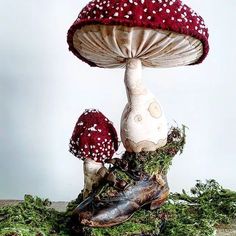 two mushrooms sitting on top of moss covered ground next to each other with white dots on them