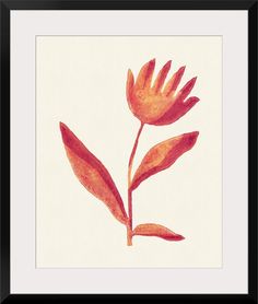 an orange flower is shown in a black frame