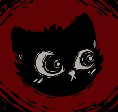 a black and white cat with eyes drawn on it's face in front of a red background