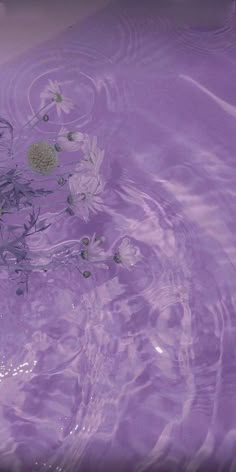 flowers are floating in the purple water