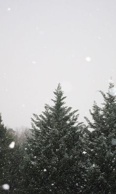 snow is falling on the top of some trees