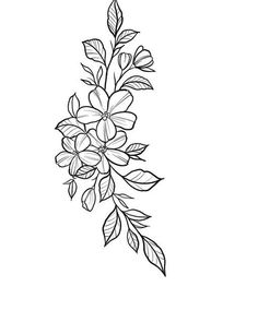 a line drawing of flowers on a white background