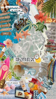 the collage is made up of many different things and colors, including flowers, shells,