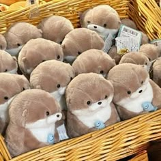 a basket filled with brown and white stuffed animals