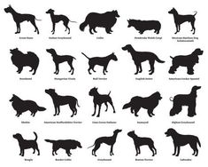 the silhouettes of dogs and their names in different languages stock photo, images and royalty