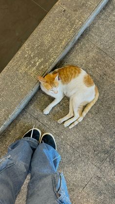 an orange and white cat laying on the ground next to a person's feet