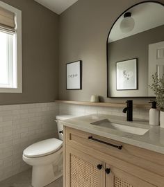 a white toilet sitting next to a bathroom sink under a large mirror on top of a wooden cabinet