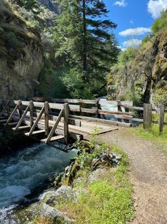 a wooden bridge over a river next to a forest