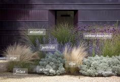 an assortment of different types of plants in front of a building with the names on it