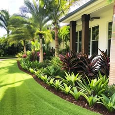 a house with lush green grass and palm trees in the front yard, along with tropical landscaping