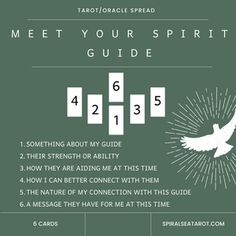 a poster with the words meet your spirit guide on it and an image of a dove