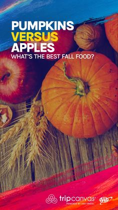 pumpkins versus apples what's the best fall food? by tripadvisa