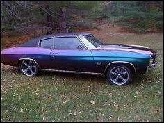 a purple and blue car parked in the grass