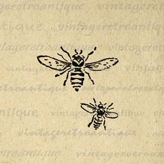 two bees on top of each other with words written below them in black ink and white paper