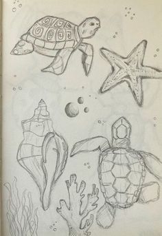 pencil drawing of sea animals and seashells with starfish, shells, and fish