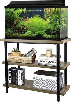 a fish tank sitting on top of a wooden shelf filled with books and plants in front of a white background