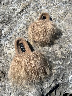 So, you love our fur slides, but you're looking for something different? You know we got you! Our Lioness Tan slides deliver on style and uniqueness! Enjoy a footbed with premium, sustainable sheepskin. Sheep's fur keeps your feet warm when its cold and cool when it's hot--so you can wear them on a spring/summer vacay in Miami or with socks during fall or winter in New York. *OUR SLIDES RUN TRUE TO SIZE, IF YOU WEAR A HALF SIZE, PLEASE ORDER A SIZE UP. YOU MAY EXPERIENCE A MORE SNUG FIT IF YOU H Fur Slides Outfit, Tan Slides, Winter In New York, Luxury Slides, Slides Outfit, Luxury Sandals, Summer Slides, Fur Sandals, Its Cold