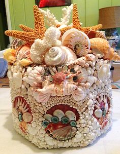 this is an arrangement of seashells and starfish