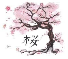 a drawing of a tree with pink flowers and writing in chinese characters on the branches