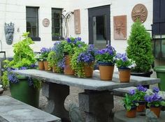 many potted plants are sitting on the concrete bench in front of a white building