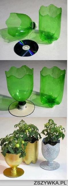 three different pictures of green glass vases with plants in them, and one has a cd on it