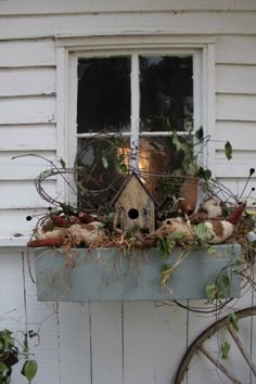 a window sill filled with plants next to a white building and a bicycle wheel