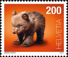 a postage stamp with an image of a baby bear on it's back side