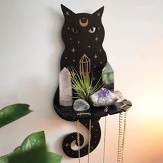 a black cat is hanging on the wall next to some rocks and plants with crystals