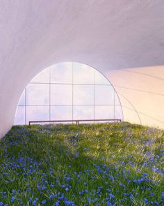 a bench sitting in the middle of a field of blue flowers