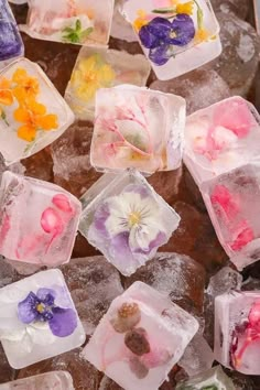 several ice cubes with flowers on them